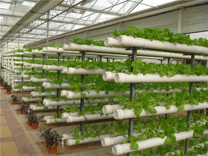扬州市植物工厂种植槽 - 方案