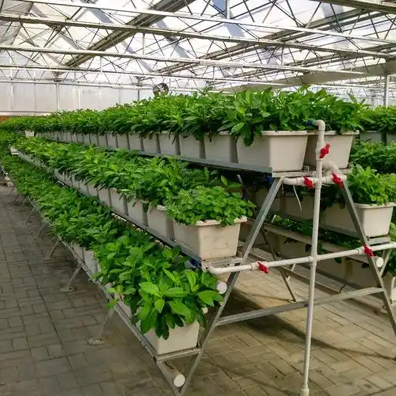 扬州市植物工厂鱼菜共生 - 一站式服务